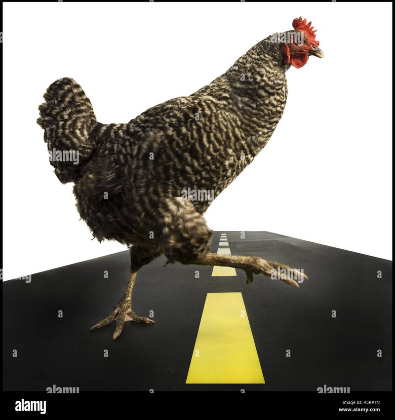 Chicken road 2 casino, chicken road 2